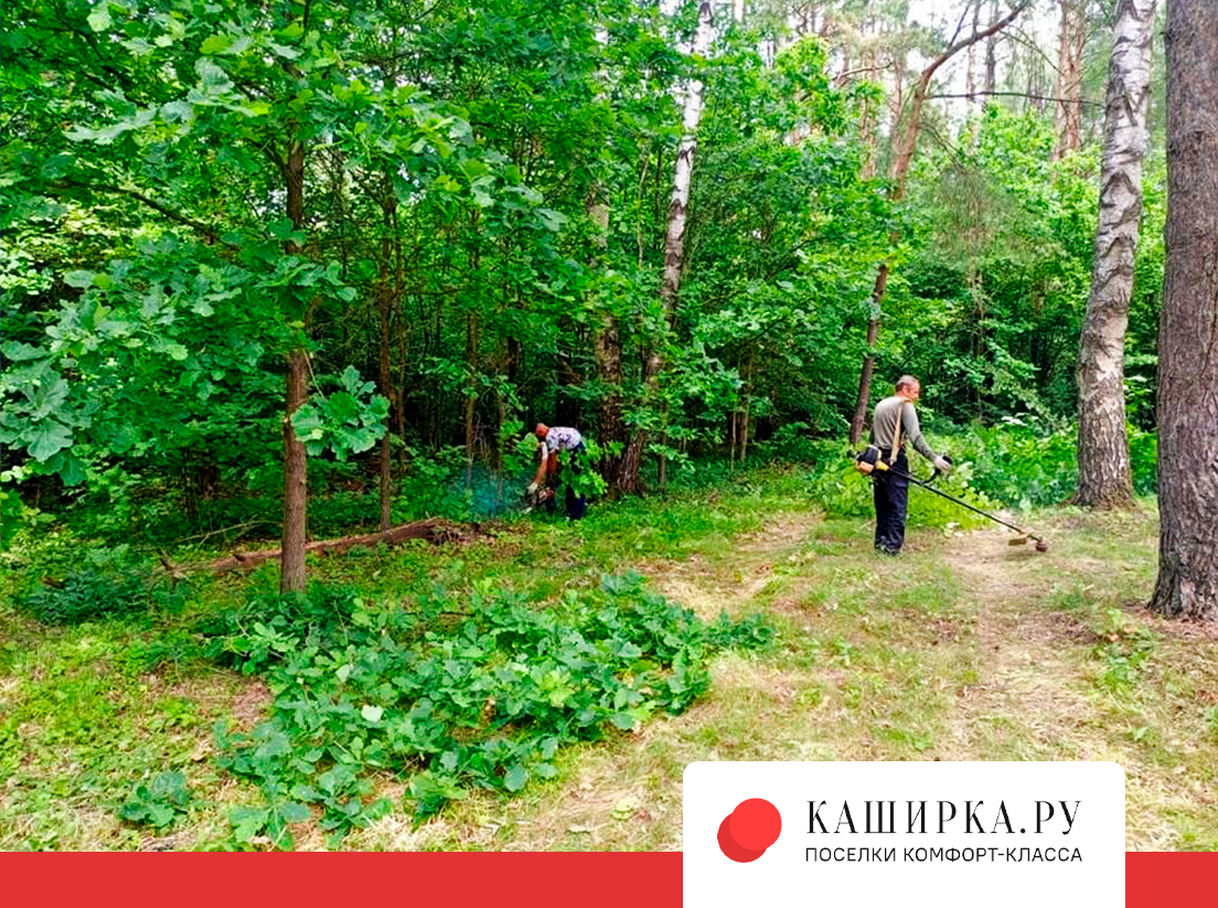 Работы по зачистке участков, прилегающих к лесу в поселке «Династия»